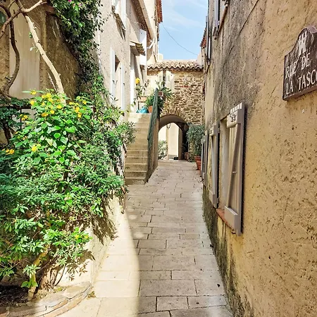 Caesar Domus-1 By Interhome Apartment Saint-Tropez